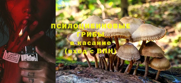 прущая мука Алексин