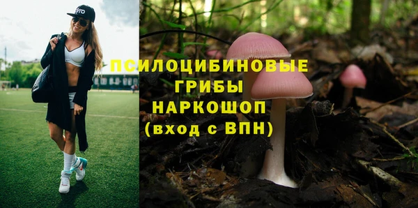 шишки Аркадак