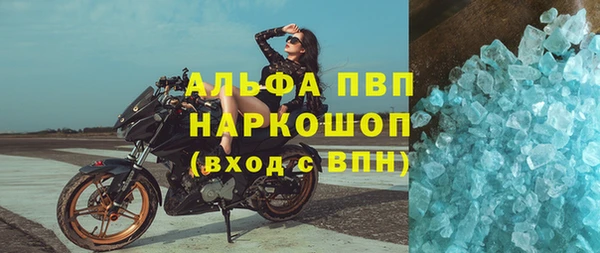 сатива Баксан